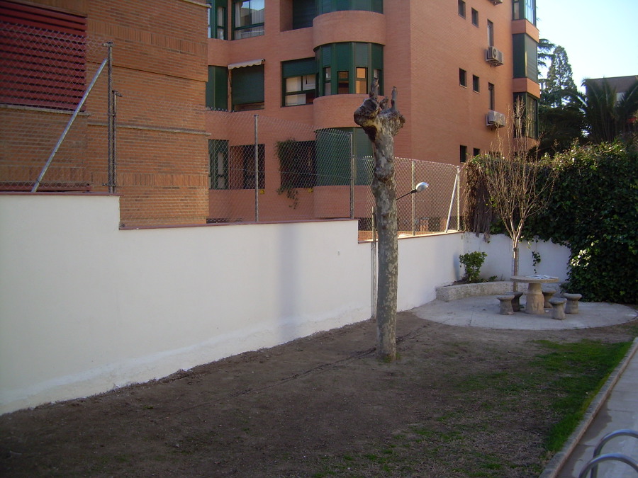 Construcción de Muro Divisorio entre Inmuebles