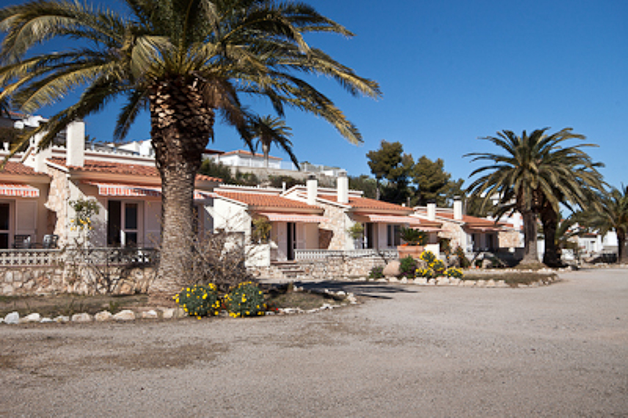 Proyecto de actividad