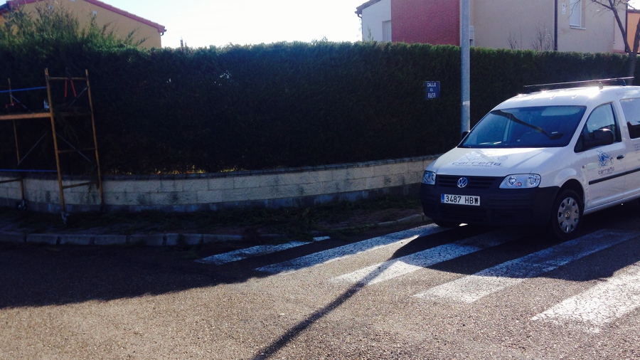 Poda de temporada en Valladolid