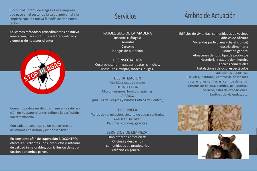 Servicios que Realizamos