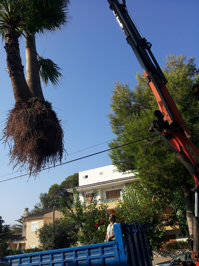 GRUA PALFHINGER 27 MTS / 44 TN 