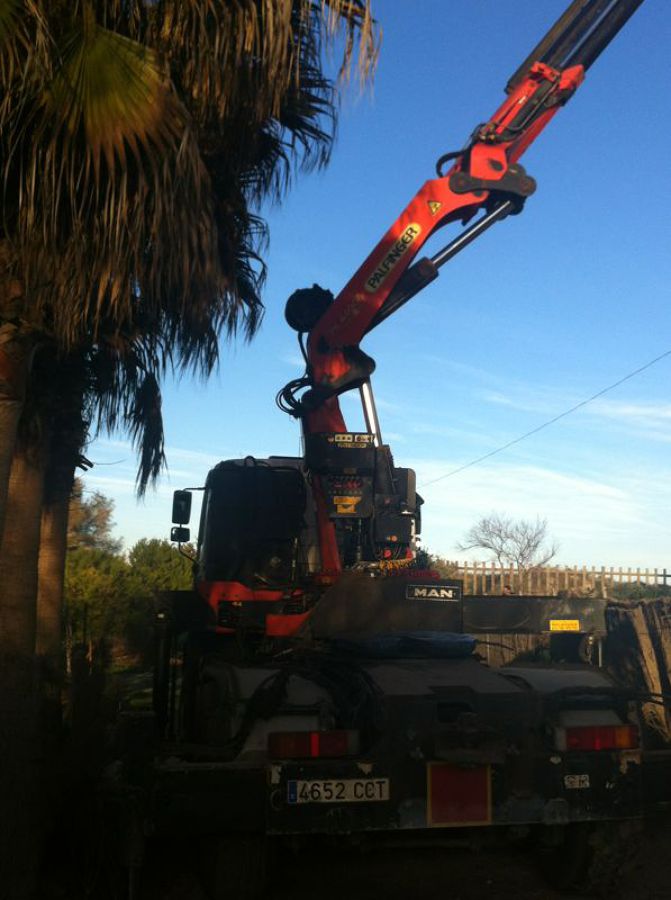 GRUA PALFHINGER 27 MTS / 44 TN CON PORTA PALLETS