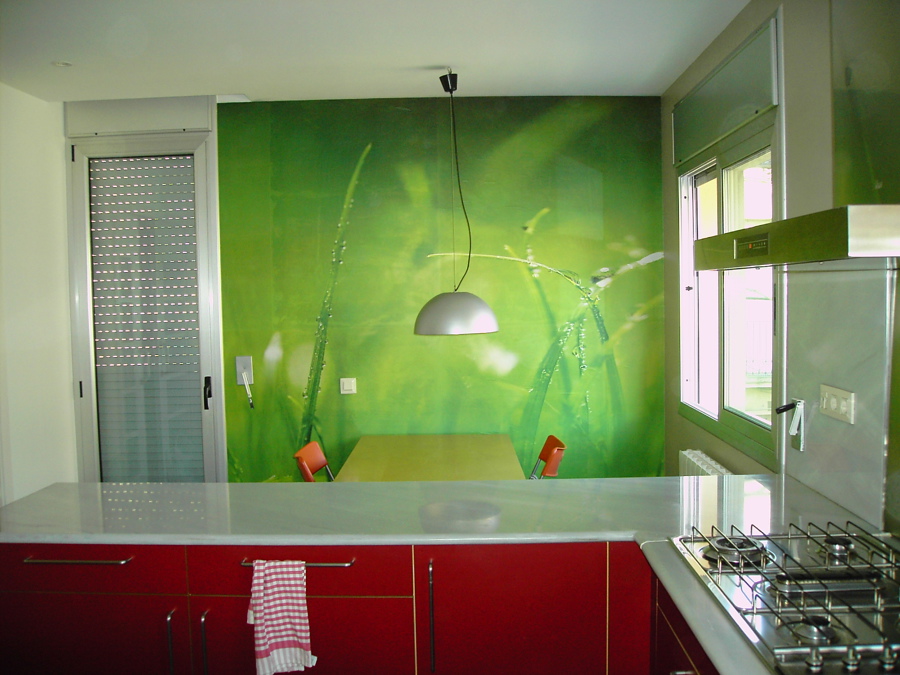 mural de papel "cesped con rocio"