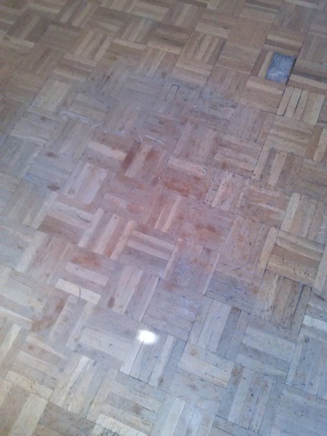 Parquet 50 años