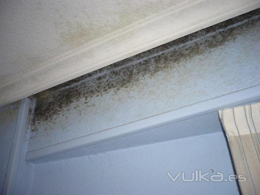 solucione la humedad de su vivienda