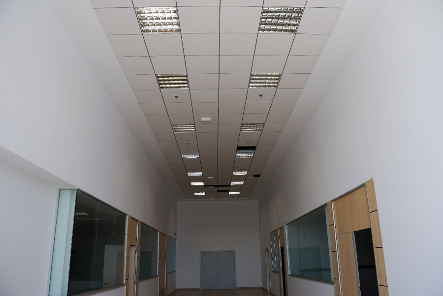 nave cartonajes vega baja