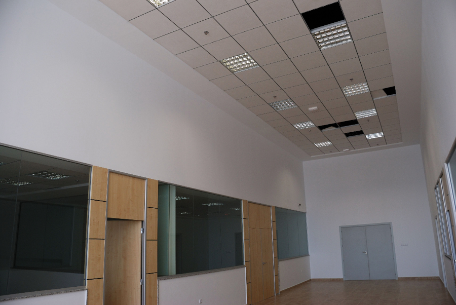 nave cartonajes vega baja