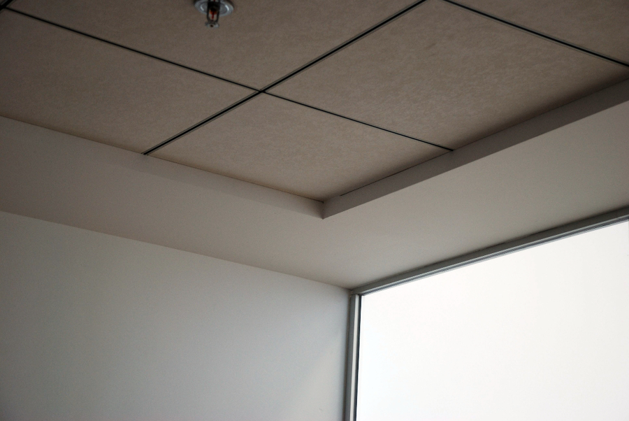 nave cartonajes vega baja