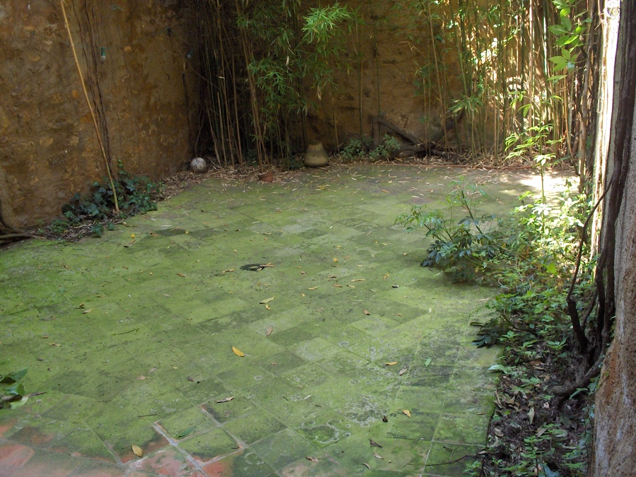 Limpieza de patio de luces (antes)