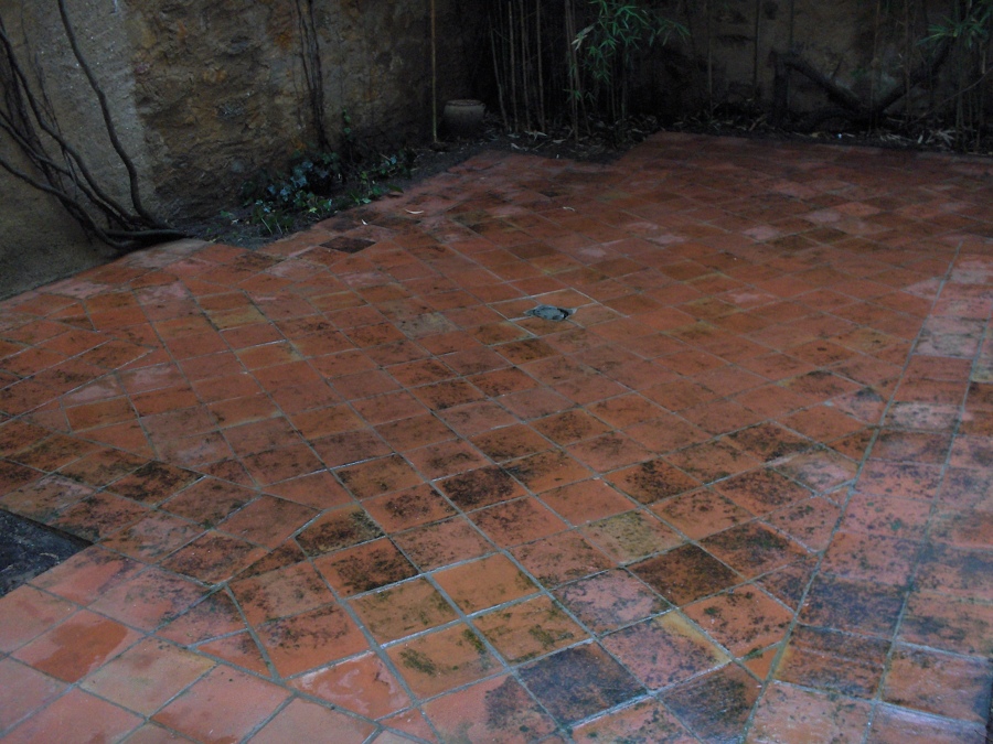 Limpieza de patio de luces (después)