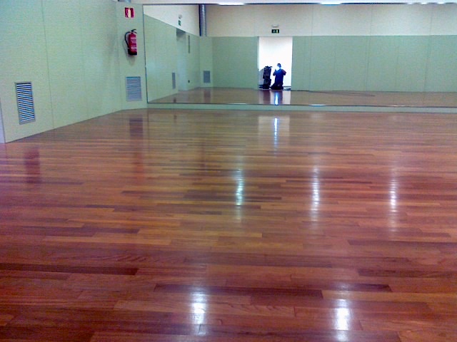 neteja de terres de fusta