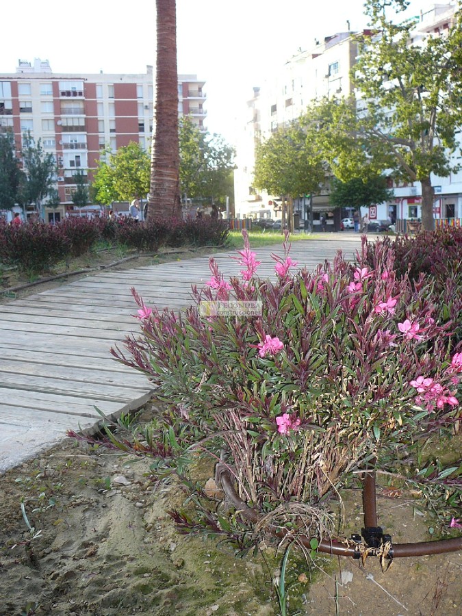 Aparcamiento de Isla Chica (Huelva)
