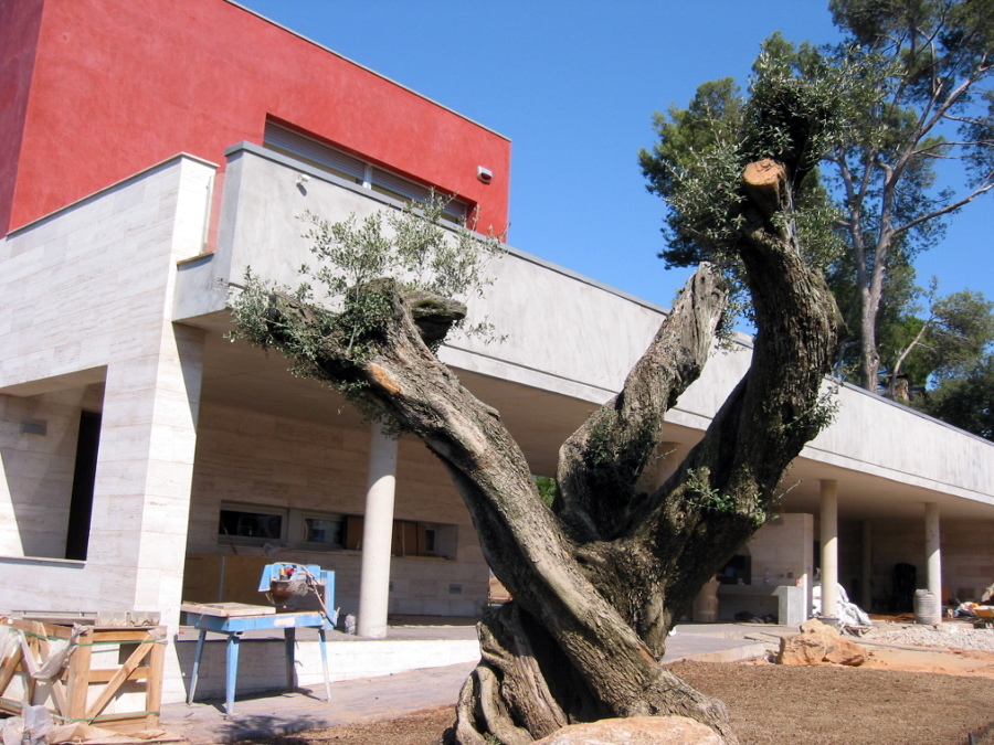 Obra nova a Valldoreis Sant Cugat