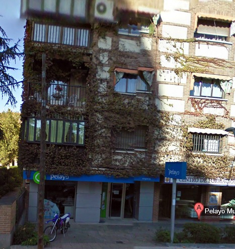 OFICINA DE SEGUROS PELAYO