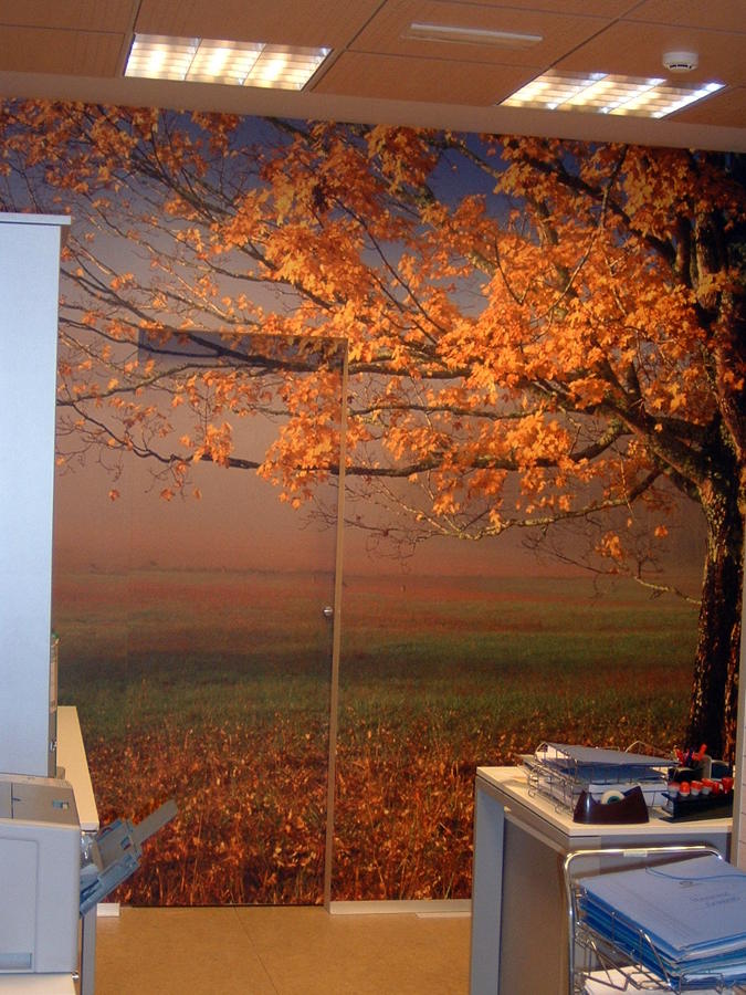 Oficina, pared foto en vinilo