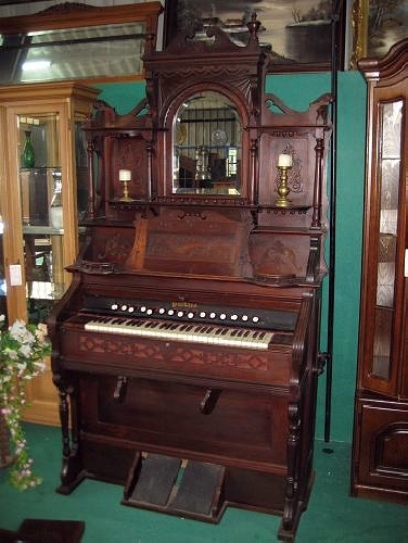 Organos y pianos 