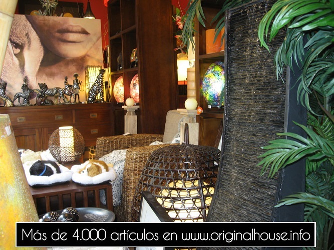 Original House, la tienda.