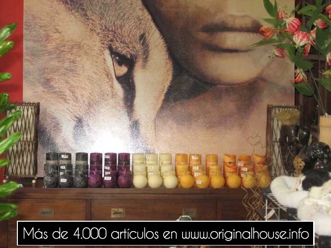 Original House, la tienda.