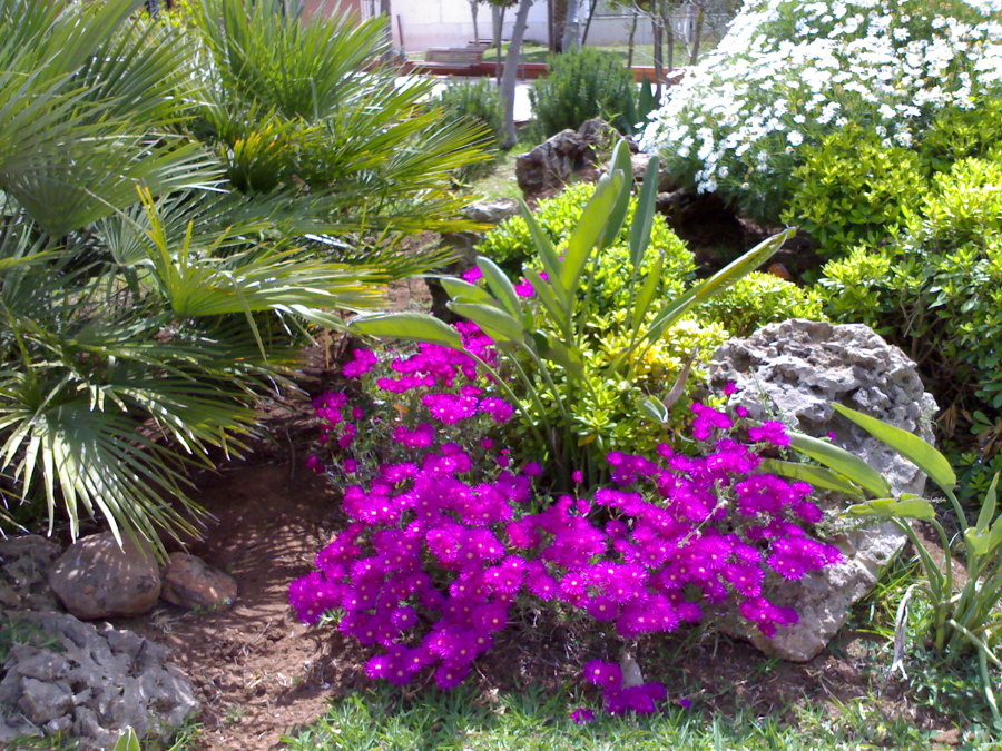 ornamentación en general