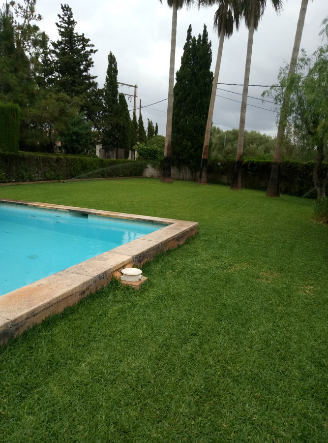 Mantenimiento jardines y piscina
