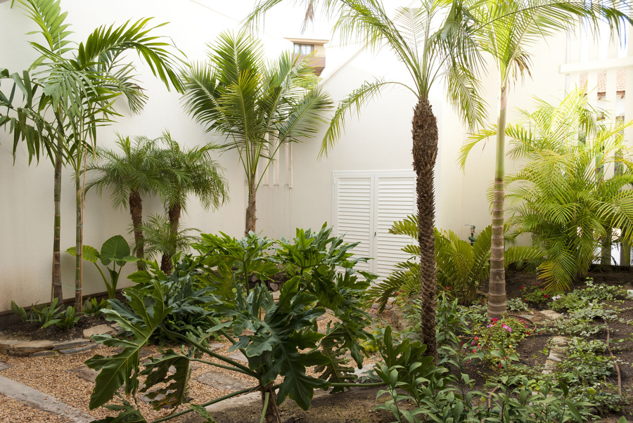 Paisajismo para patio interior
