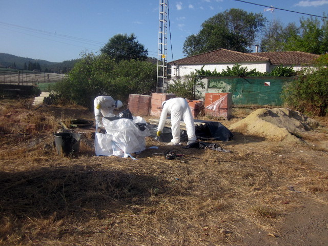 paletizacion de fibrocemento