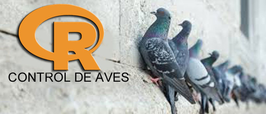 Sistemas Anti-Aves