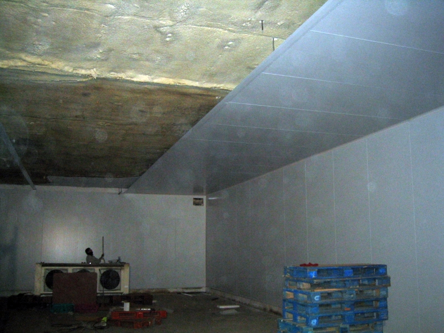 Panel frigorifico en camara de congelación