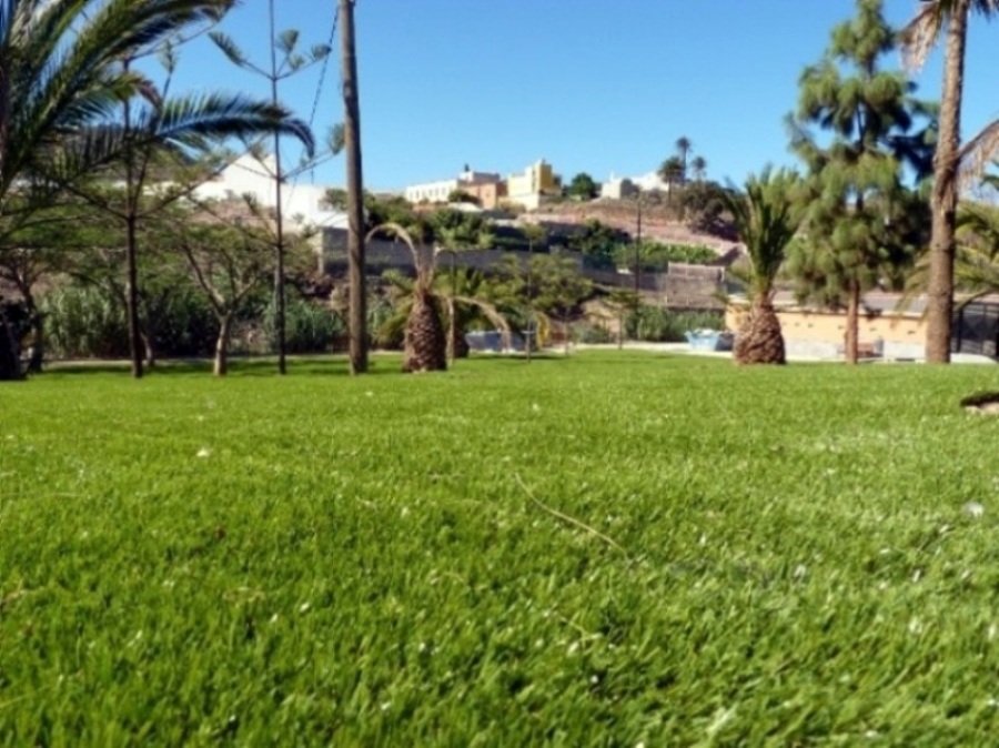 PARQUE PÚBLICO EN ARUCAS (LAS PALMAS)