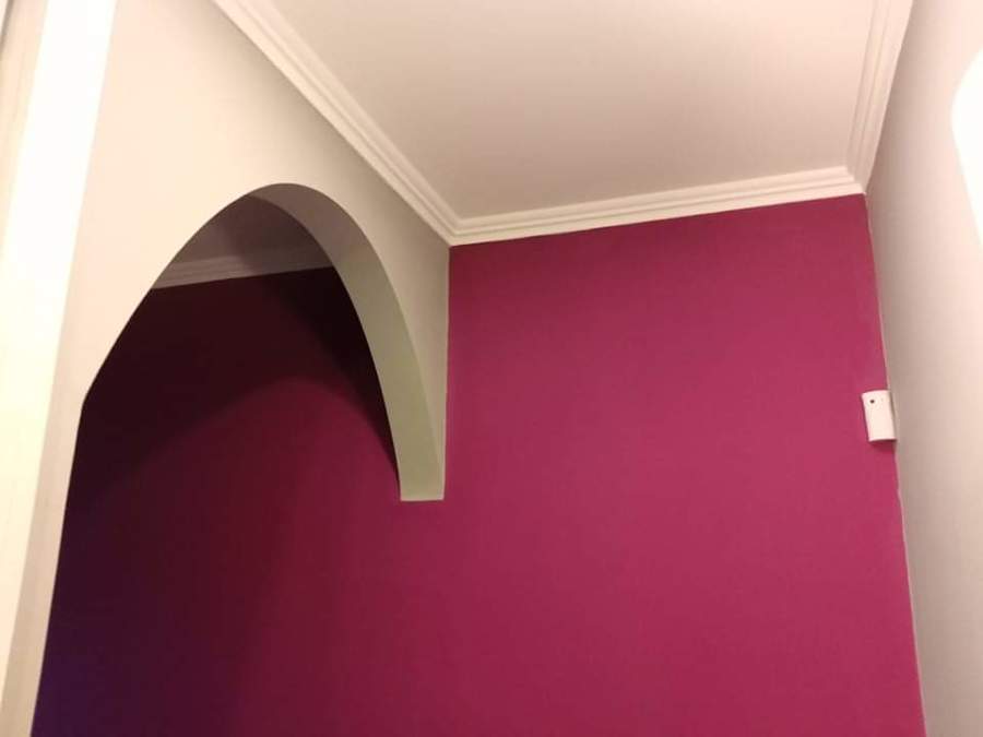 TECHOS  PLADUR Y PINTURA