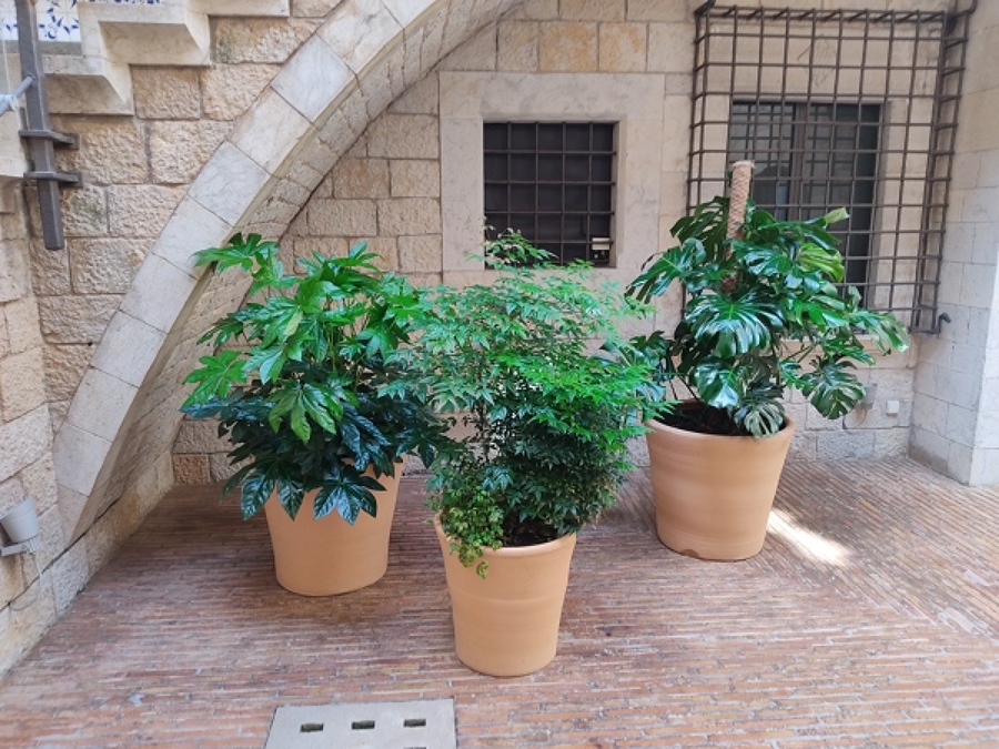 Patio interior Caixaforum Girona