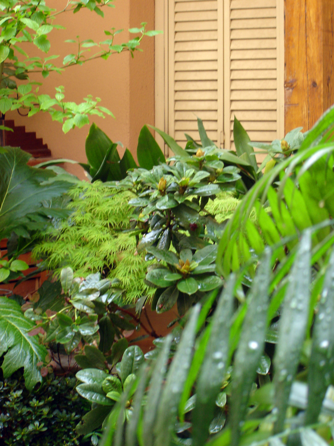 Patio en el centro de Madrid 