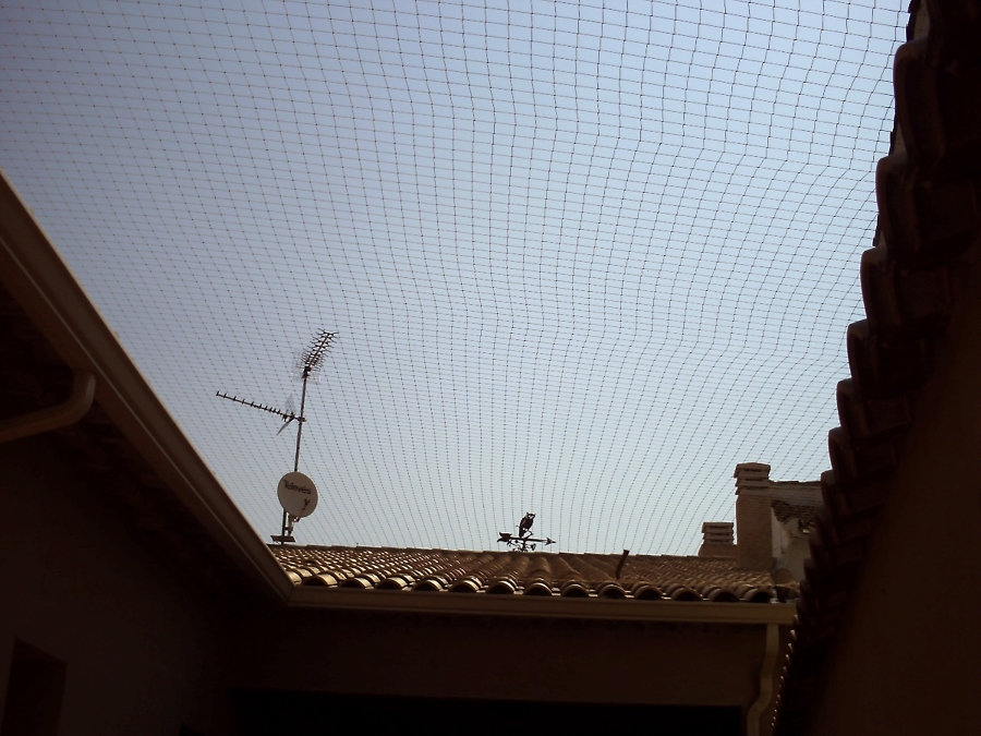 PATIO PROTEGIDO CONTRA PALOMAS