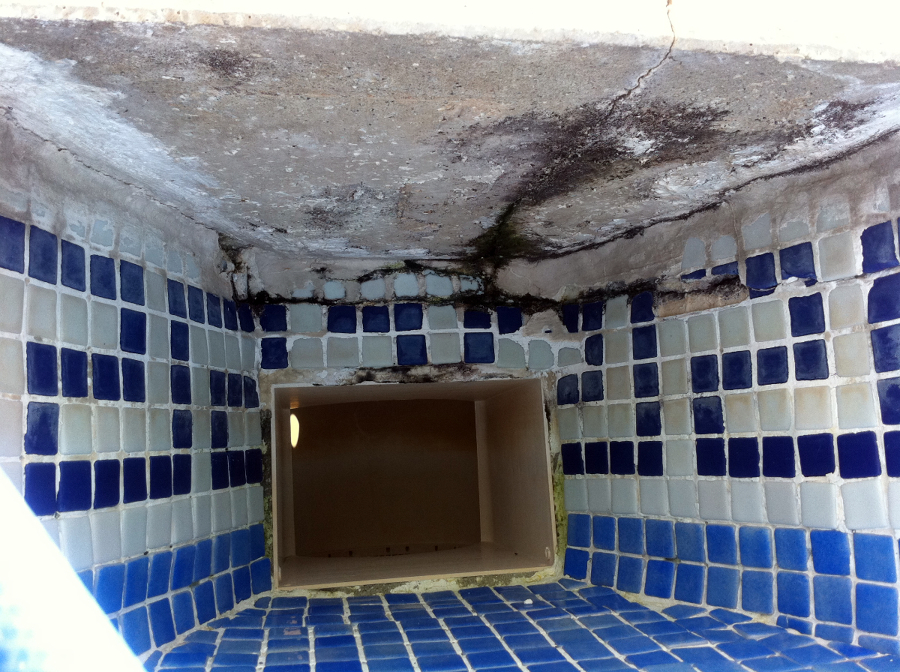 PATOLOGÍA EN PISCINA