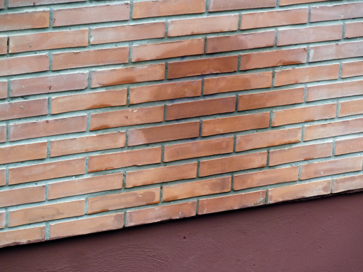 Patologías en edificios y viviendas