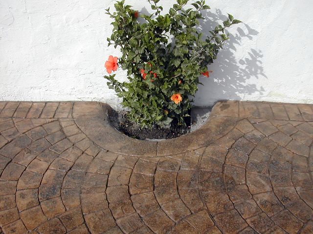 Pavilum Obras y Servicios, S.L.