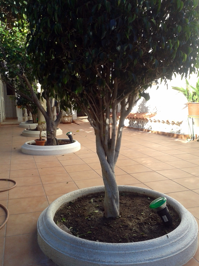 PAVIMENTADO DE JARDÍN EN ARENALES DEL SOL