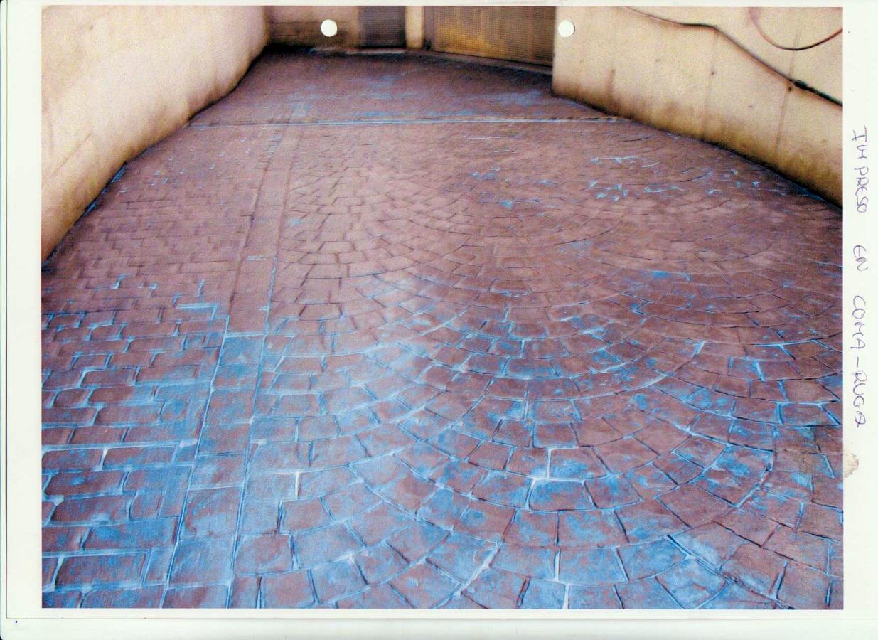 pavimentos impreso de adoquin france