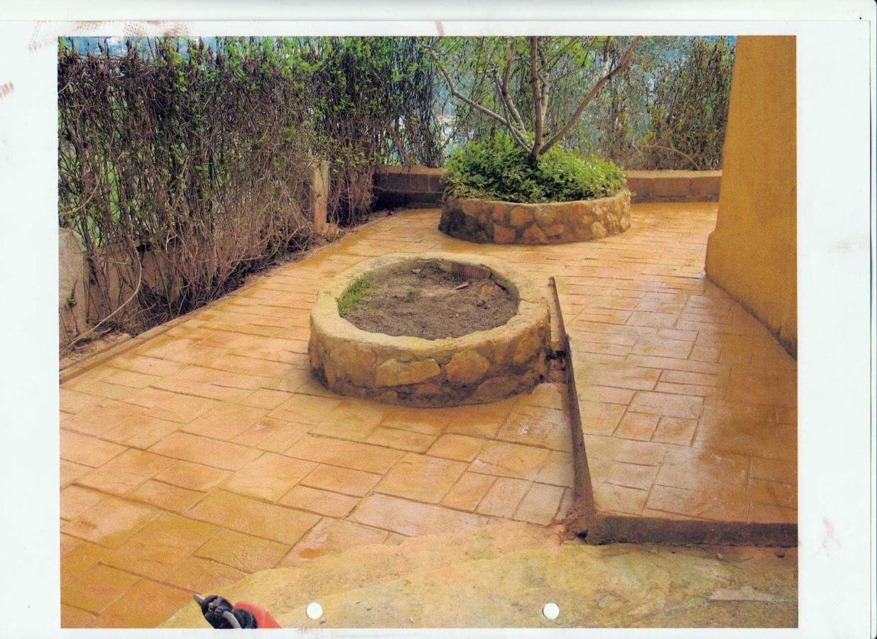 pavimentos impreso piedra silar