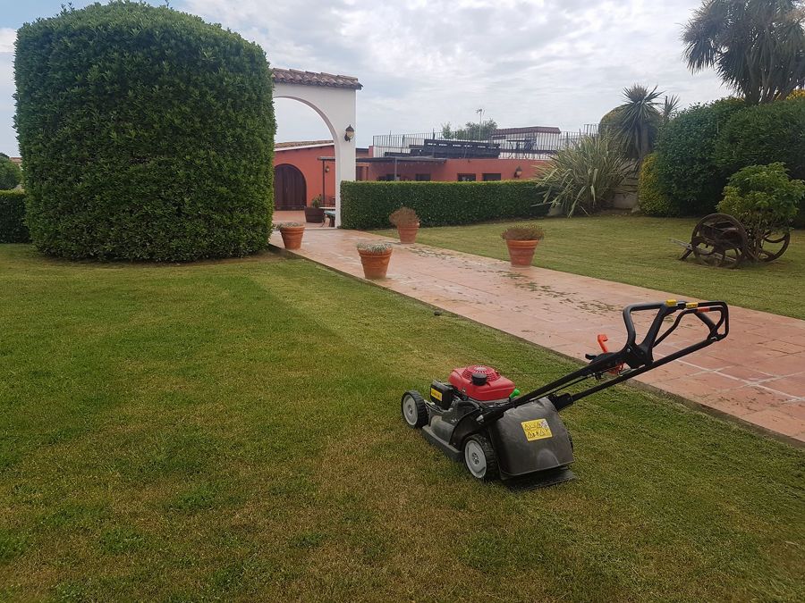 Trabajos jardinería
