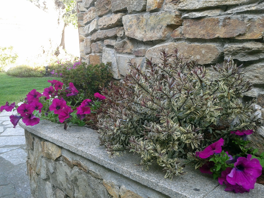 pequeños espacios de color