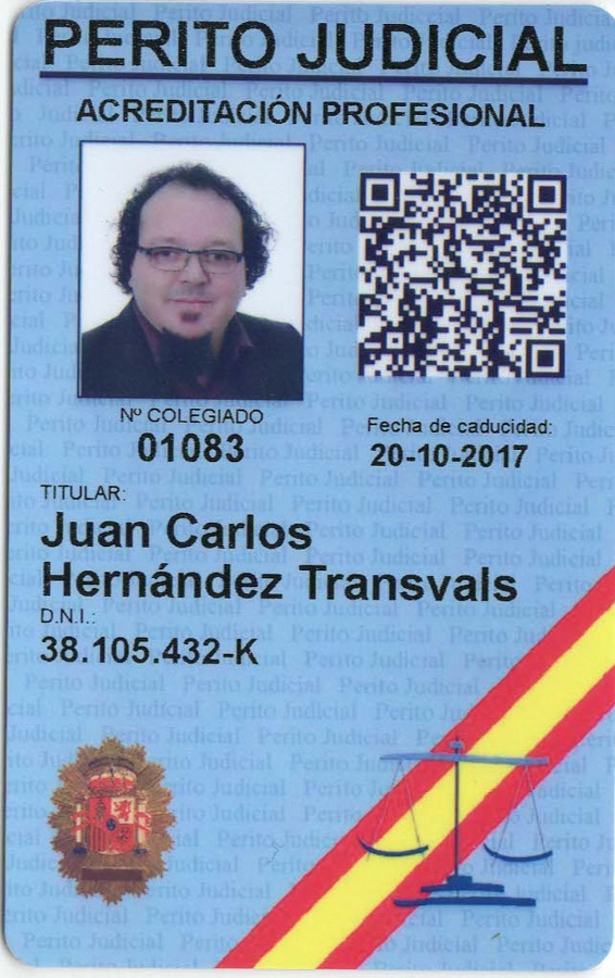 Perito Judicial