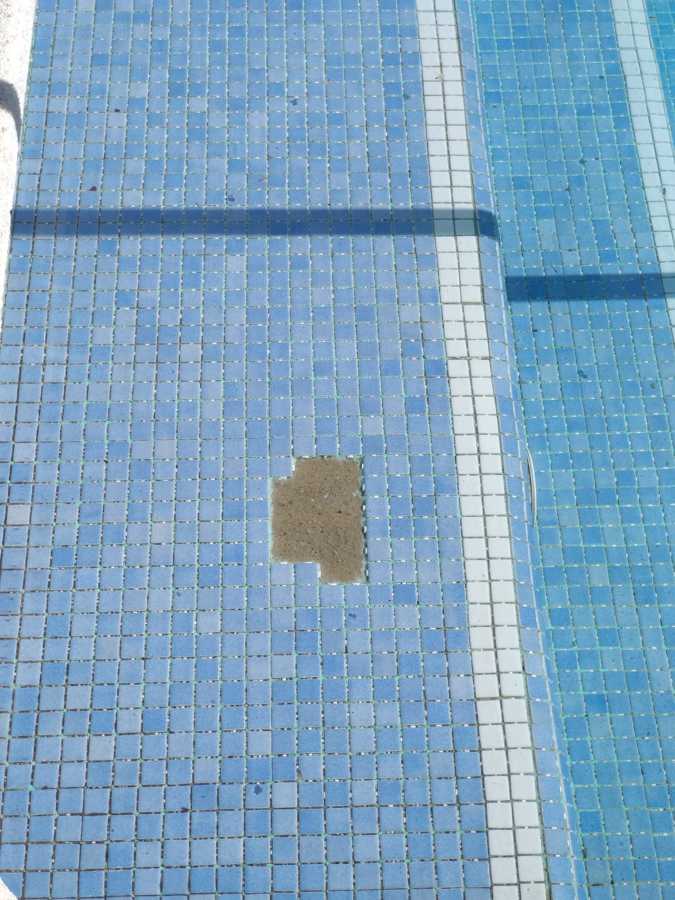 Rejuntados y reparación gresites