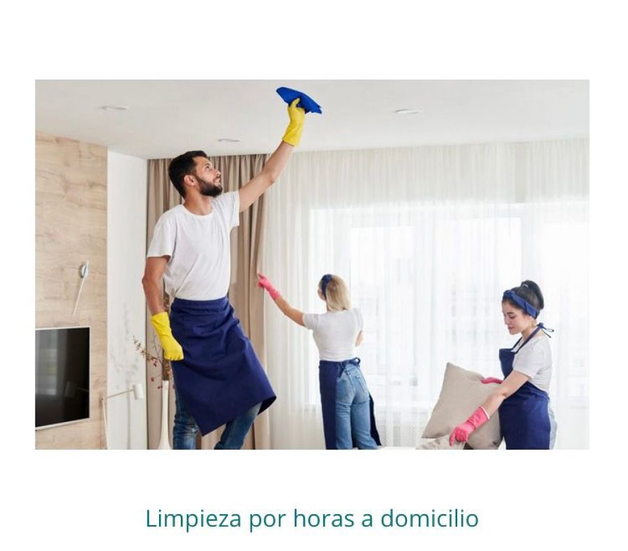 Limpieza por horas a domicilio y empresas