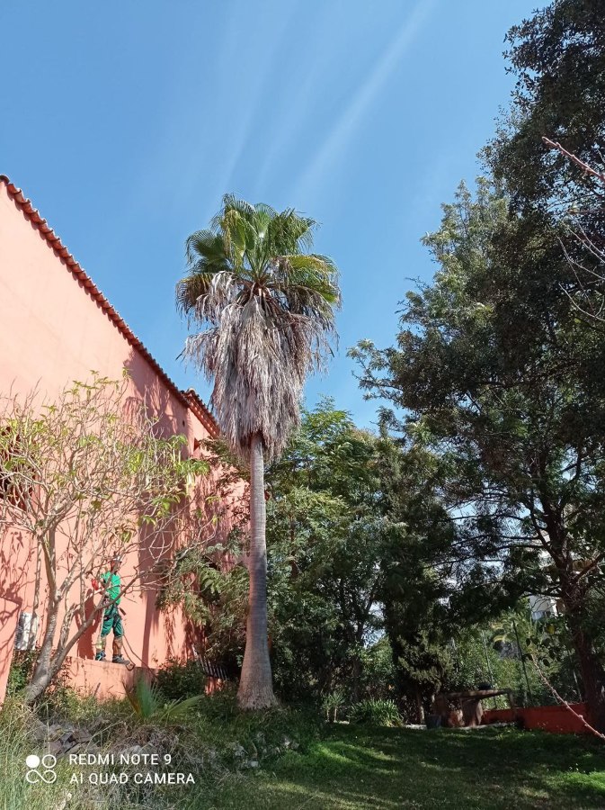 Puesta a punto jardín