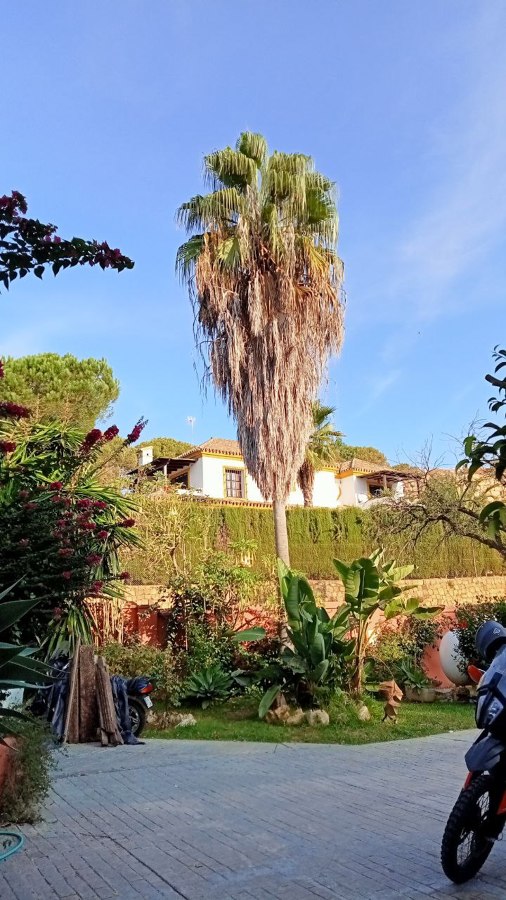 Puesta a punto jardín