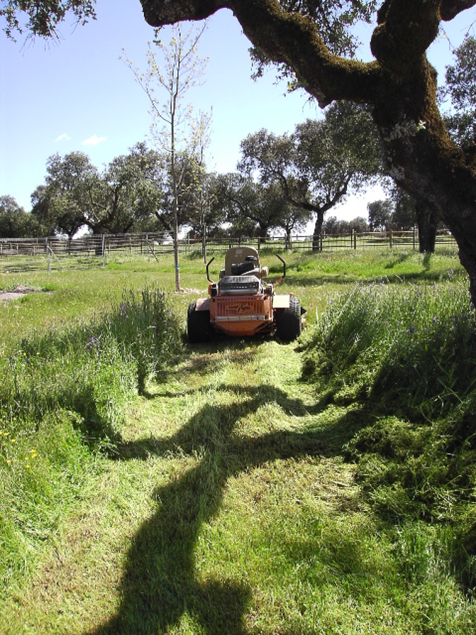 Desbroces y siegas mecánicos.