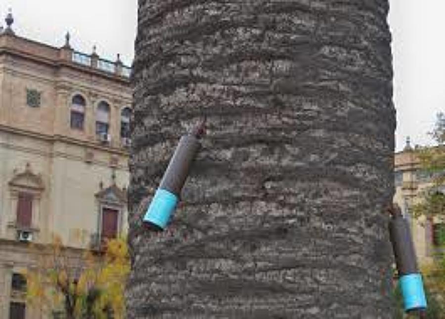 Tratamiento de plagas