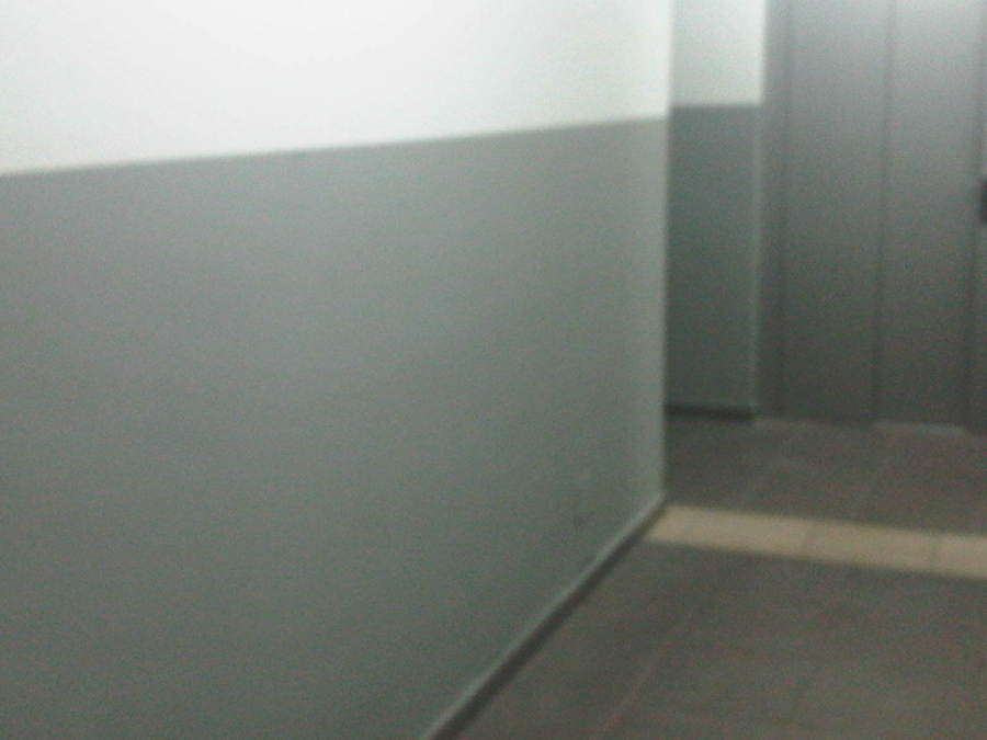 pintado y decoracion de paredes interiores en plastica