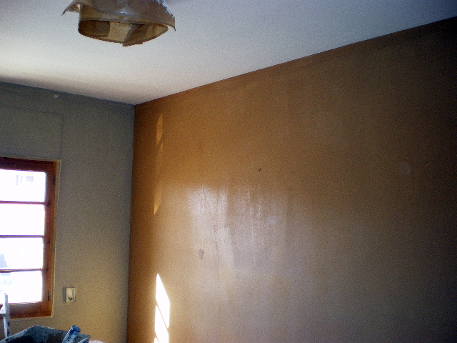 pintar